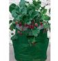 recycling garden strawberry planting bags